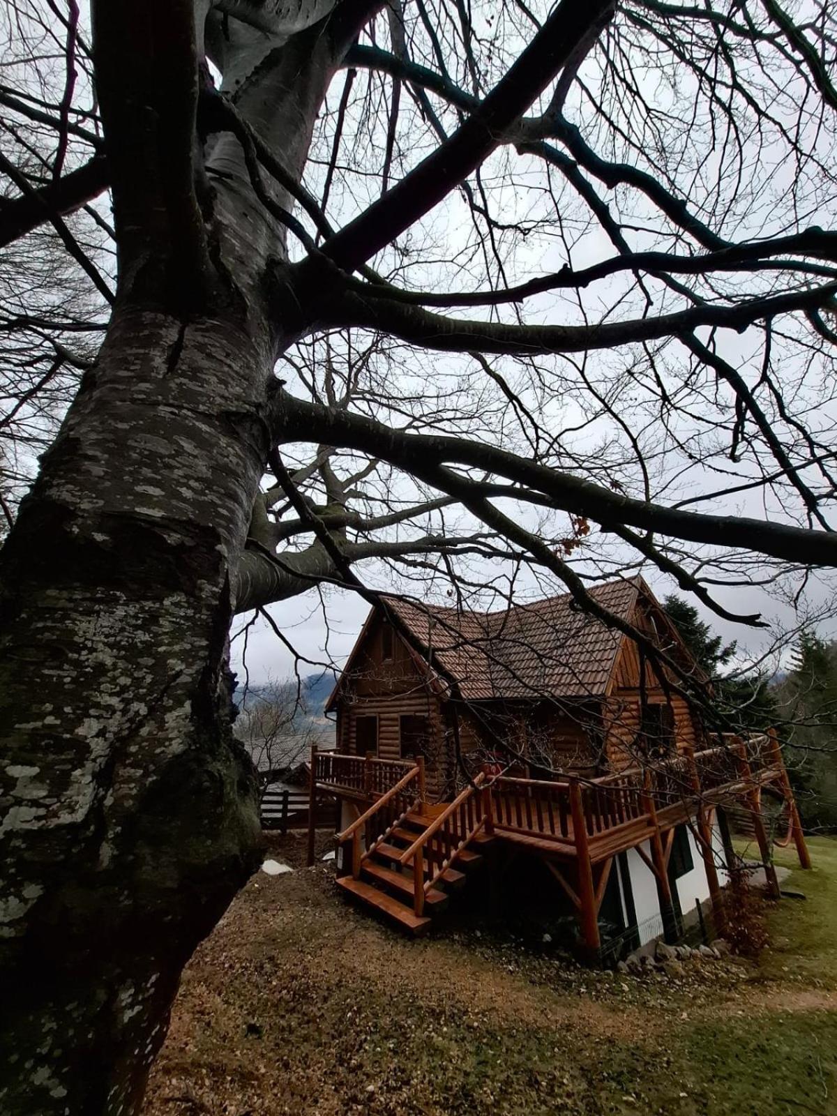 Veresko Villa Lacu Roșu Zewnętrze zdjęcie